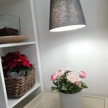 In The Historic Center Of Apartment
