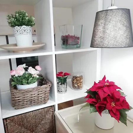 In The Historic Center Of