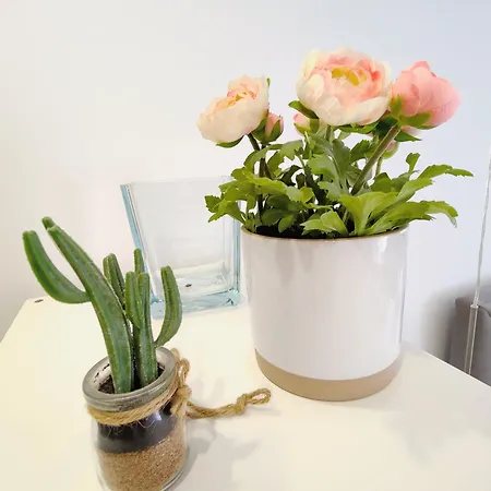 Apartament In The Historic Center Of *