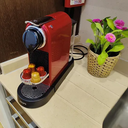 In The Historic Center Of