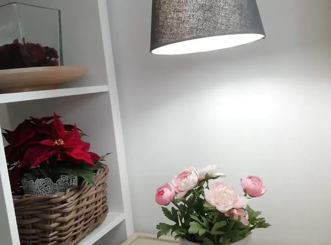 In The Historic Center Of Lejlighed