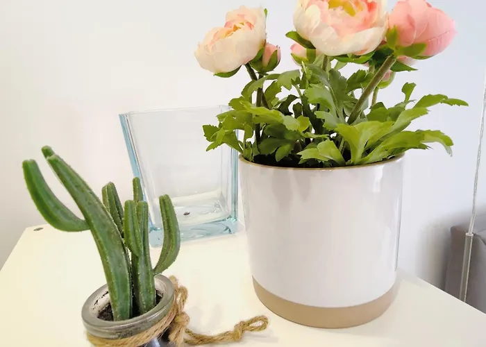 Lejlighed In The Historic Center Of *